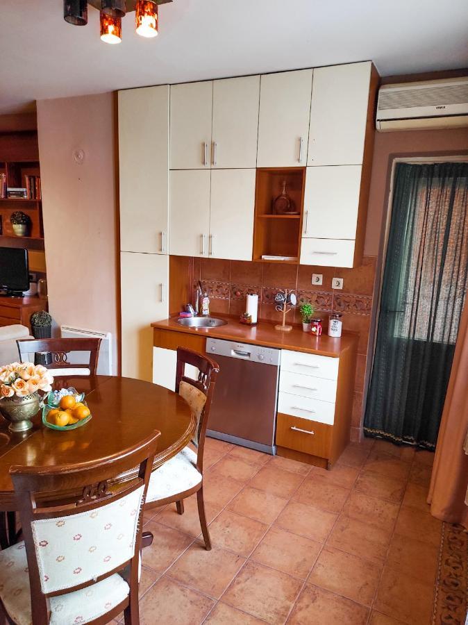 Center 1 Podgorica Apartman Kültér fotó