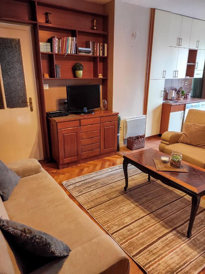 Center 1 Podgorica Apartman Kültér fotó